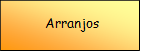  Arranjos

